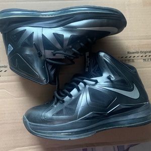 Lebron 10 Carbons size 11